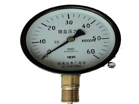 膜盒压力表 YE-100、YE-150